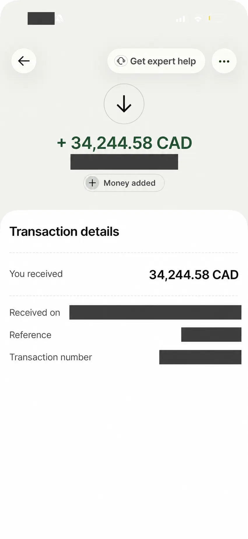 Wise receipt showing 34,244.58 CAD; sender, date, fees, reference and transaction number concealed